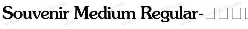 Souvenir Medium Regular字体转换